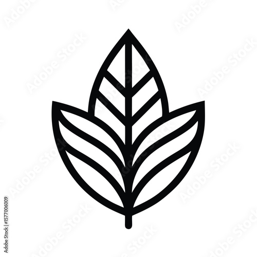 Tea Leaf Outlined Icon Vector Illustration