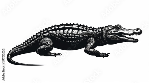 Detailed illustration of an alligator with its mouth slightly open, showcasing its scales and teeth.