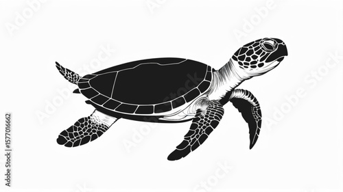 A black and white illustration of a sea turtle swimming gracefully, isolated.