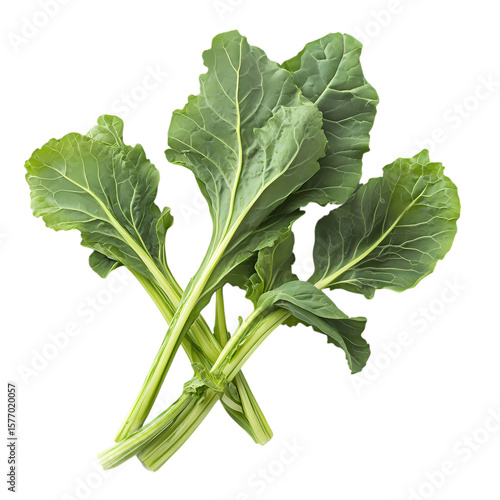Fresh Turnip Greens Nutritional Benefits  Culinary Uses isolated on transparent background