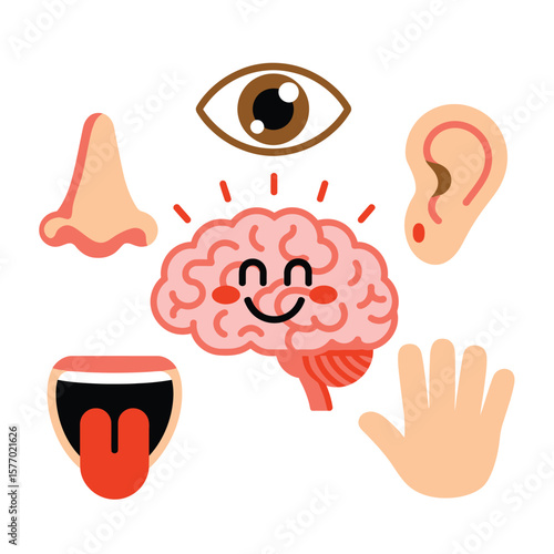 Cute cartoon brain surrounded by sensory organs representing the five senses