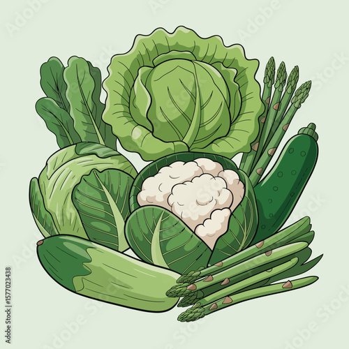 Fresh assortment of green vegetables including cabbage cauliflower asparagus and zucchini