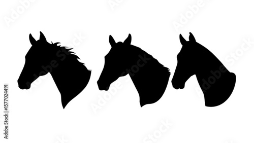 Horse head silhouette vector art illustration equine animal design graphic template for print and digital use