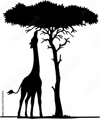 Vector illustration of a giraffe silhouette eating a tree leaf, isolated on white