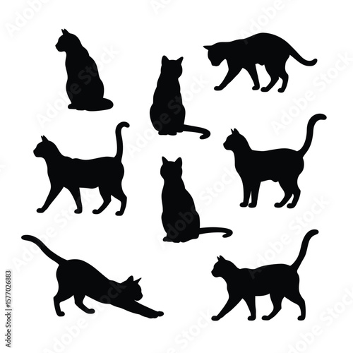 Silhouette illustrations of various cat poses, showcasing different actions and body positions.