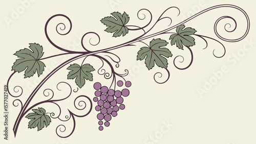 Illustration of a grape vine with leaves and a bunch of grapes on a light background design art