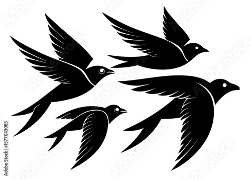 Four black birds fly with wings in different positions against the sky, silhouette