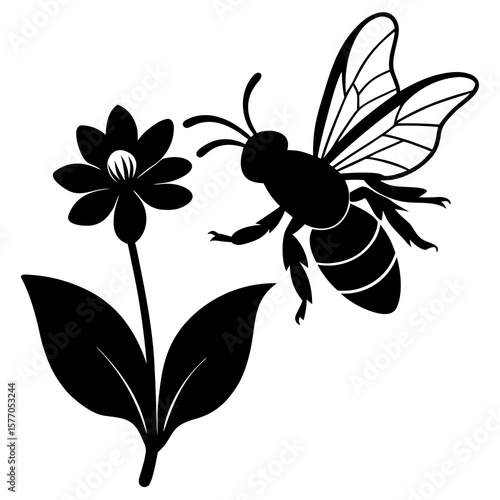 Black bee hovering near black flower insect bloom