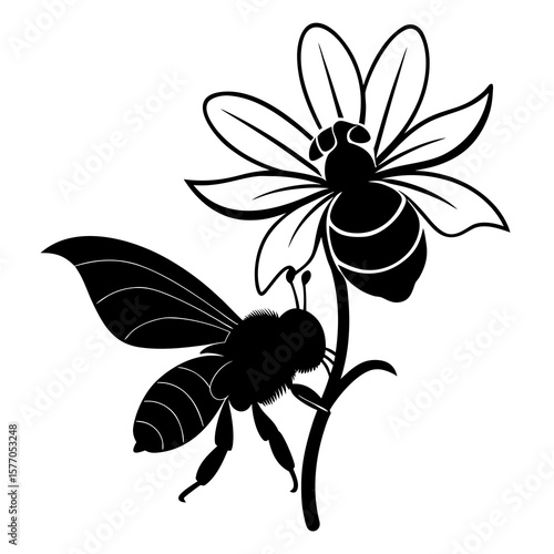 Black bee hovering near flower insect pollination