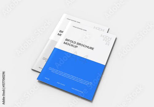 Bifold Brochure Mockup Isolated