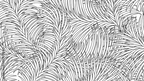 Black and white illustration of overlapping palm fronds creating a dense tropical pattern
