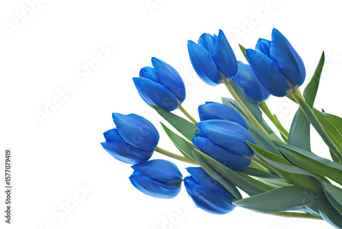 a bunch of blue tulips are in a vase
