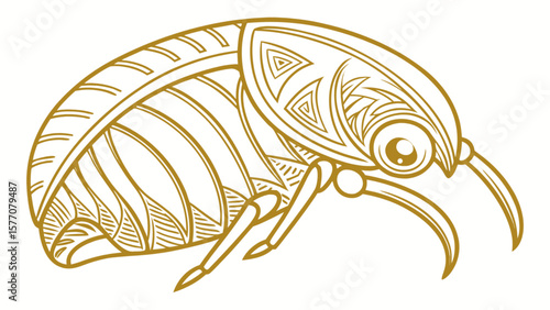 Detailed line art drawing of a beetle insect bug pest vector illustration graphic design nature animal art 100 char
