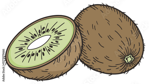 Illustration of fresh kiwi fruit whole and sliced for healthy eating and fruit nutrition information