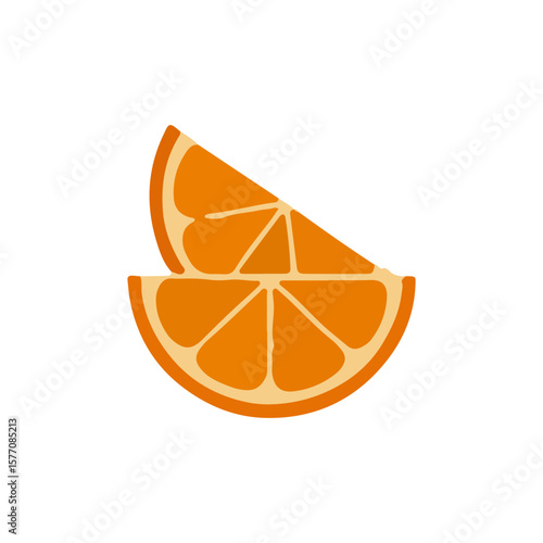 Fresh Orange Fruit Slices Vector Illustration
