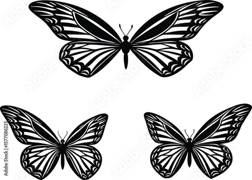 Three stylized black butterflies with intricate wing patterns on a white background