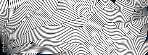 A dynamic, black and white background featuring interwoven, wavy lines creating a complex and visually intriguing pattern.