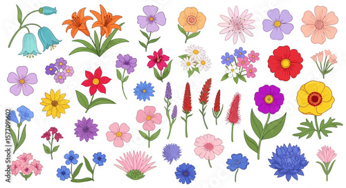 Botanical Variety Colorful and Detailed Floral Illustration, perfect for spring designs and decorative projects