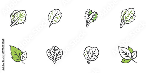 Romaine, lettuce, iceberg and basil leaf icon set for healthy eating blogs, salad bar menus, nutrition websites, clipart, culinary product design, and wellness materials