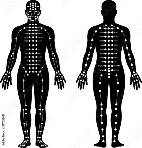 Acupuncture Points silhouette on white background