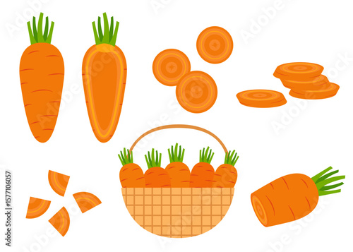Carrot Illustration Collection – Whole and Cut Pieces in Flat Style
