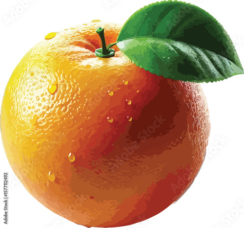 Vibrant digital illustration of a juicy orange fruit with a fresh green leaf and water droplets