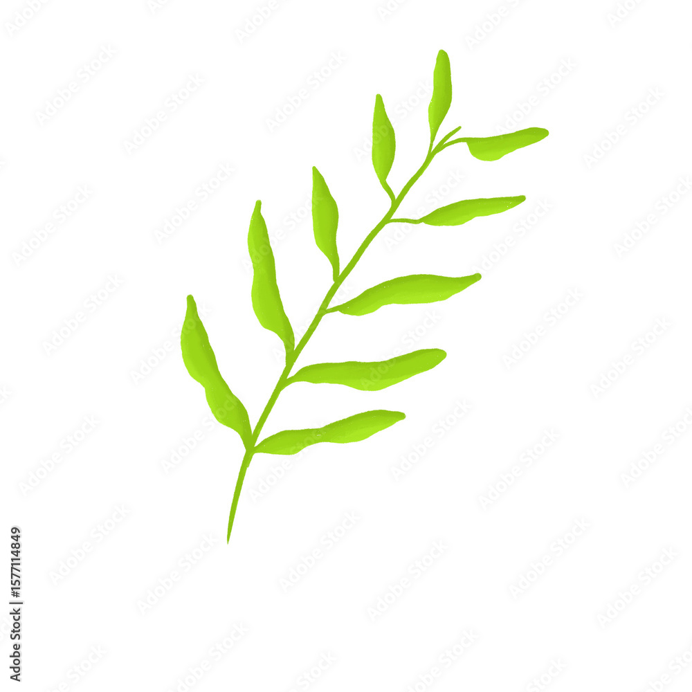 Fototapeta premium Hand Drawn Green Botanical Leaf with Long Slender Shape - Vector Illustration