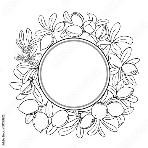 Argan Branch with Nuts and Leaves Outline Round Frame. Vector isolated for design or decoration.