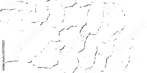 "Grunge cracked texture on white background with black fracture lines and speckles. Perfect for vintage effects, aged surfaces, abstract design, backgrounds, and distressed graphic projects"