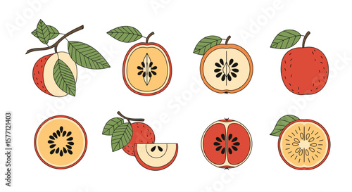 Exquisite apple varieties featuring fresh fruit slices and whole pears showcasing diverse seed patterns