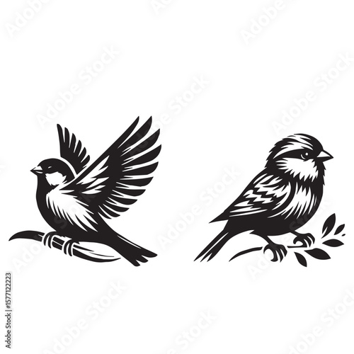 sparrow  set silhouette tattoo,sparrow silhouette flying ,sparrow silhouette pictures ,jack sparrow set silhouette