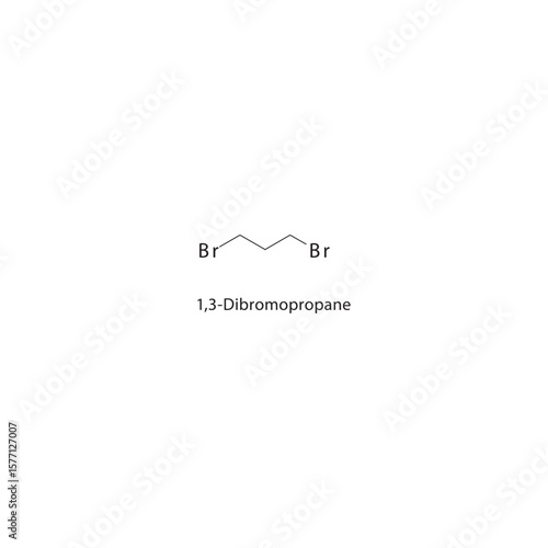 1,3-Dibromopropane skeletal structure. Halogenated alkane compound schematic illustration. Simple diagram, chemical formula.