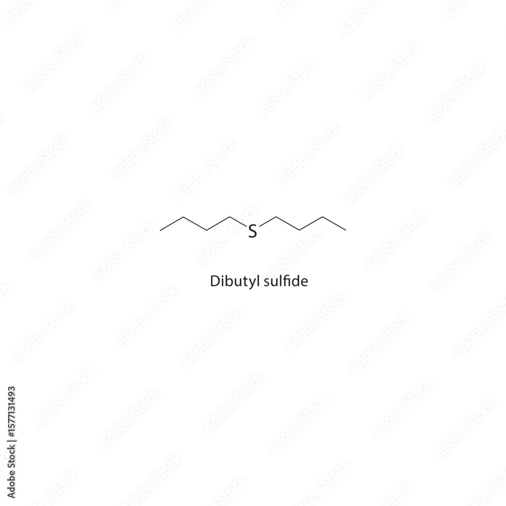 Obraz premium Dibutyl sulfide skeletal structure. Thioether compound schematic illustration. Simple diagram, chemical formula.