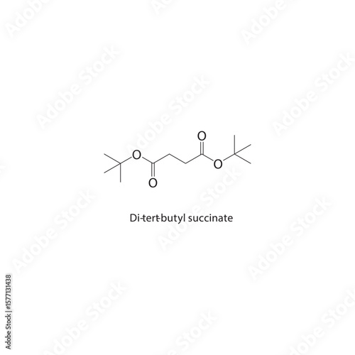 Di-tert-butyl succinate skeletal structure. Branched dicarboxylic acid diester compound schematic illustration. Simple diagram, chemical formula.