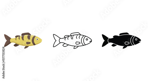Three fish icons in different styles color outline and silhouette