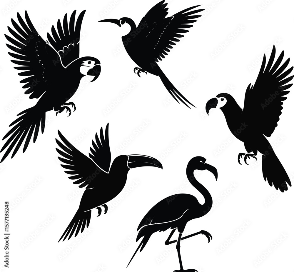 Fototapeta premium Silhouette Collection Tropical Birds in Flight – Macaw, Toucan, Flamingo