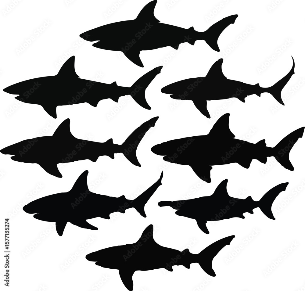 Fototapeta premium Ocean Predator A Silhouette Illustration of a Shark Pod