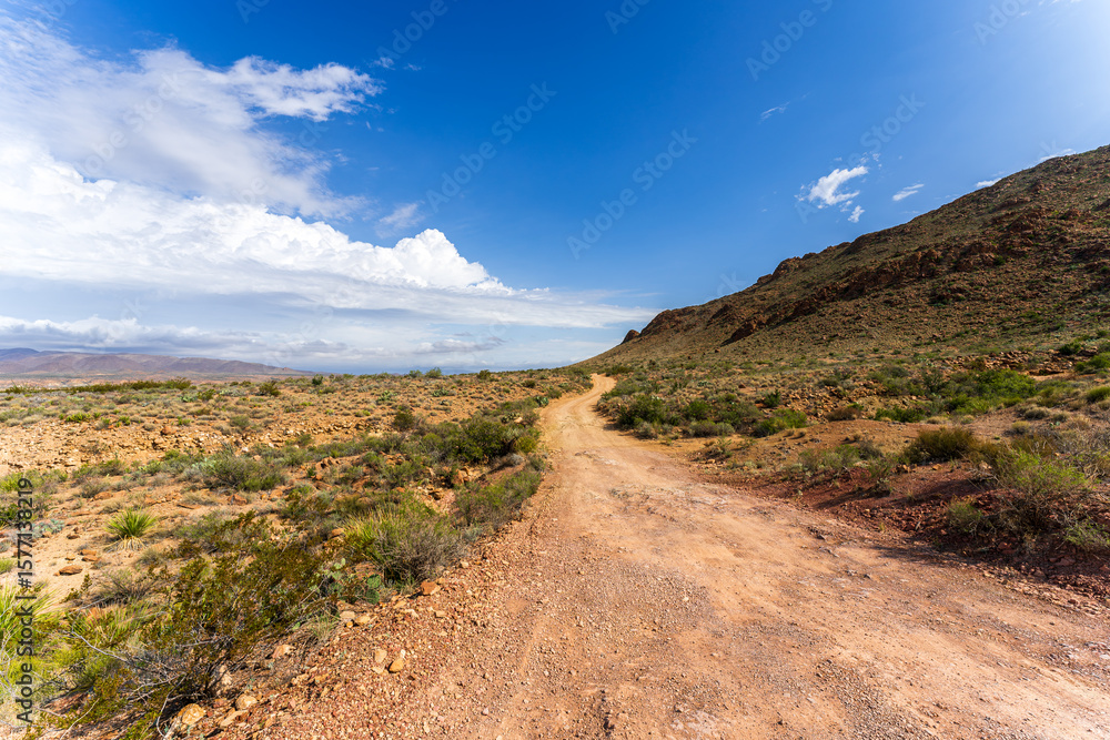 Fototapeta premium Scenic View at Big Bend Nationalpark, Texas, USA
