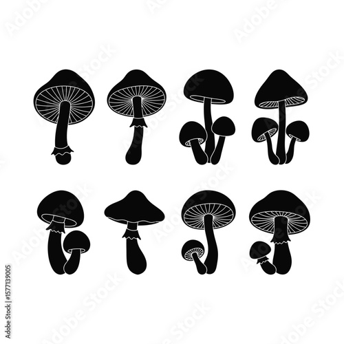 Silhouette illustration of various mushrooms, showcasing different shapes and sizes, isolated.