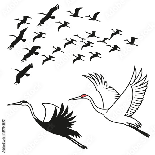 set of silhouettes of cranes