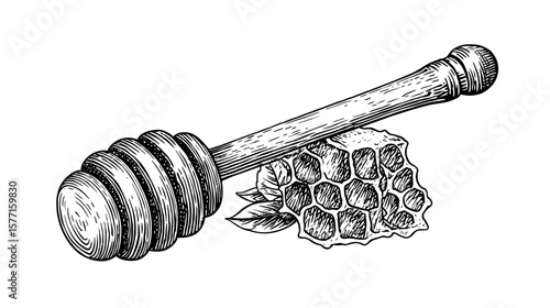 Honey dipper and honeycomb in black and white engraving style, isolated on transparent background