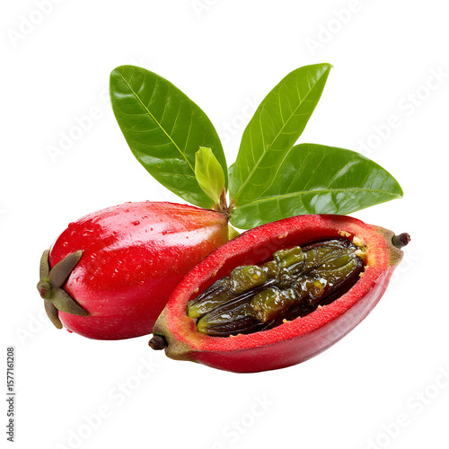 Exotic tamarillo fruit with leaves against black backdrop for botanical illustration