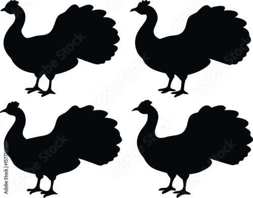 Four Black Silhouette Peacocks Standing bird animal