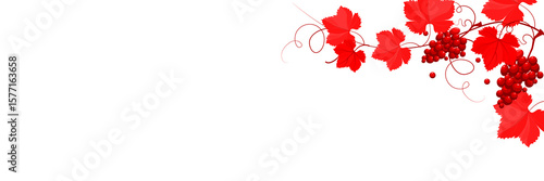 Red wine grapes and leaves on branch isolated. Panorama