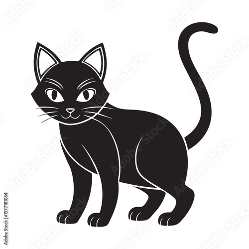 Black cat with white accents feline animal