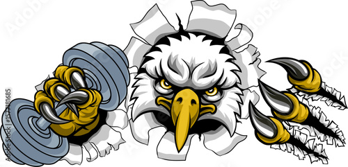 An eagle hawk bird weight l...