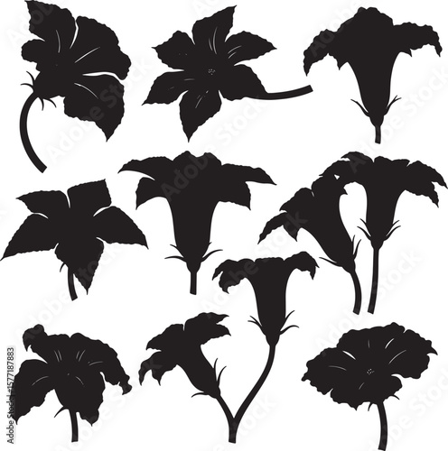 Dramatic black flower silhouettes featuring various datura and petunia blooms, ideal for bold botanical designs, mystical themes, or graphic art projects