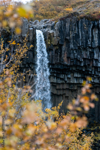 Skaftafell is a nature reserve with glaciers, hiking trails, and Svartifoss, a striking waterfall framed by black basalt columns.