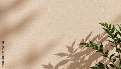 Minimalist beige background with soft natural shadows and green leafy plant in the lower right corner creating a calm and earthy aesthetic for design projects