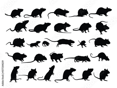 The big set silhouettes of rats.
